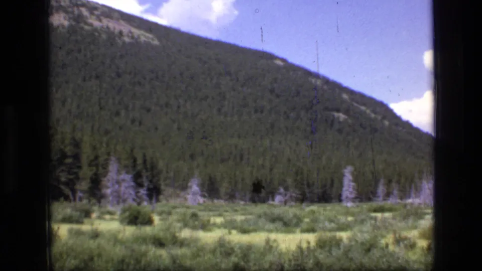 Scapegoat Wilderness frame with meadow foreground, dead trees, dense conifers, and a rocky upper mountain ridge.