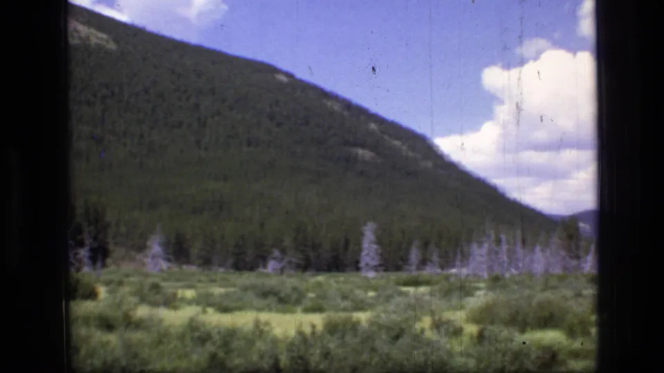 Moving-vehicle view across a Montana meadow toward forested mountain slopes and a bright clouded sky.