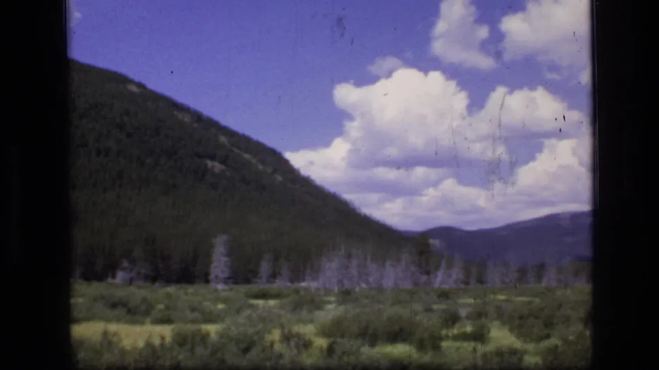 Wide 1973 wilderness view of a meadow and pale dead trees leading to forested Montana mountains under cumulus clouds.