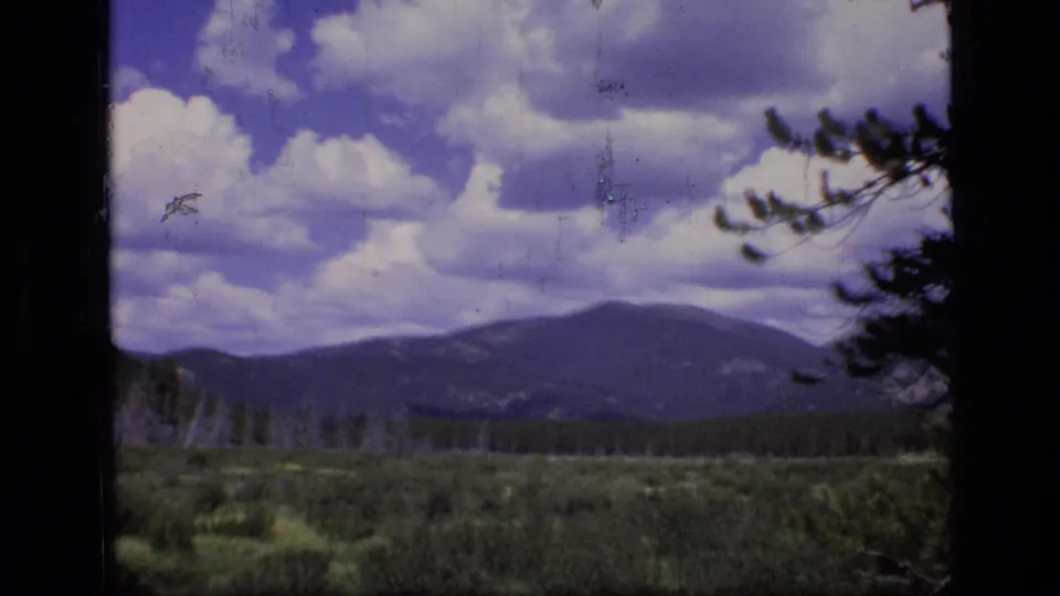 1973 Montana wilderness frame with cloud banks, distant mountains, meadow growth, and pine branches in the foreground.