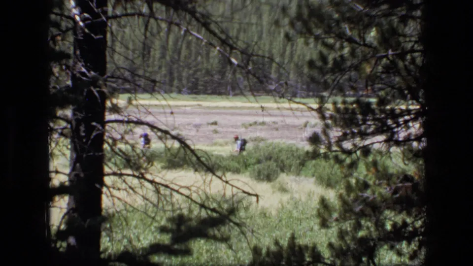 Scapegoat Wilderness view with two small backpacking figures moving across open grass beyond silhouetted pine branches.