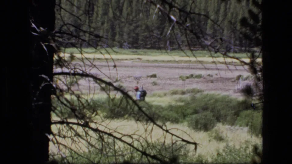 Vintage 8mm frame of a distant backpacker, one red cap visible, crossing a Montana meadow between dark forest branches.