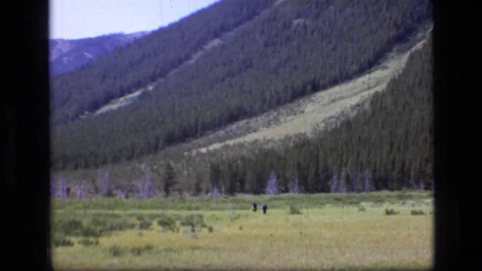 Wide 1973 Montana wilderness frame with two small hikers moving through a sunlit meadow below a forested ridge.