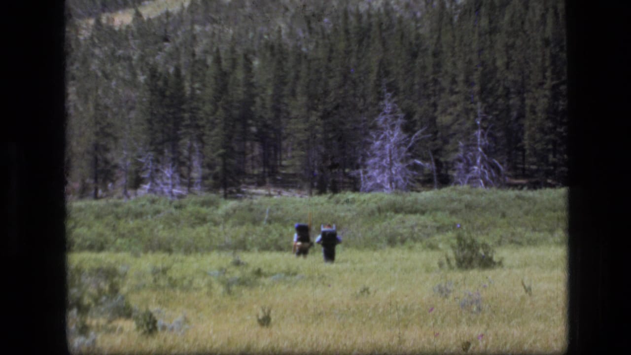 Two distant backpacked hikers walk across a grassy meadow with evergreen forest behind them.