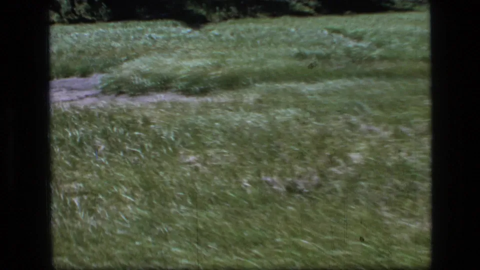 The 8mm camera lingers on windblown meadow grass and a light patch of ground in the Montana wilderness setting.