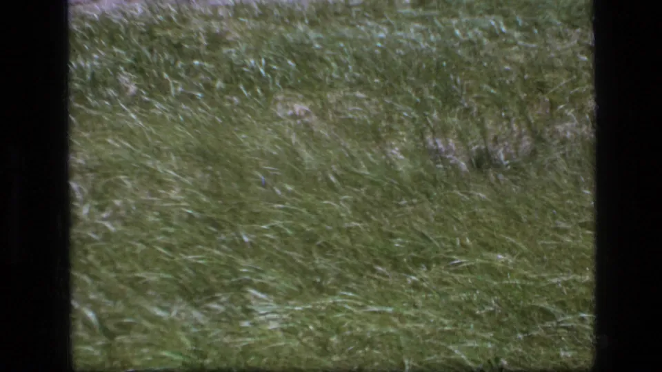 Tall green meadow grass dominates the final frame, showing the soft grain and color of 1973 8mm home-movie footage.