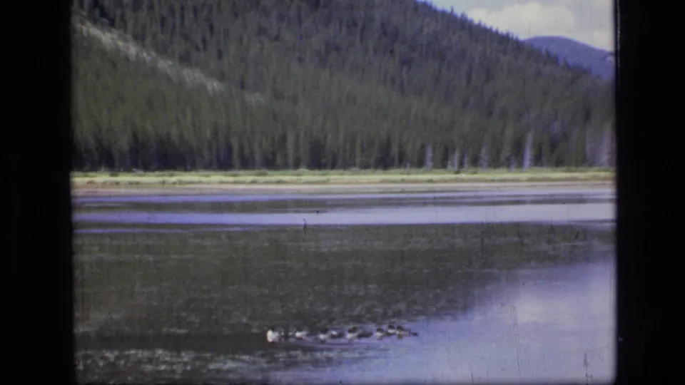 1973 8mm frame from Scapegoat Wilderness showing ducks on a reflective lake with evergreen forest and mountain slopes beyond.