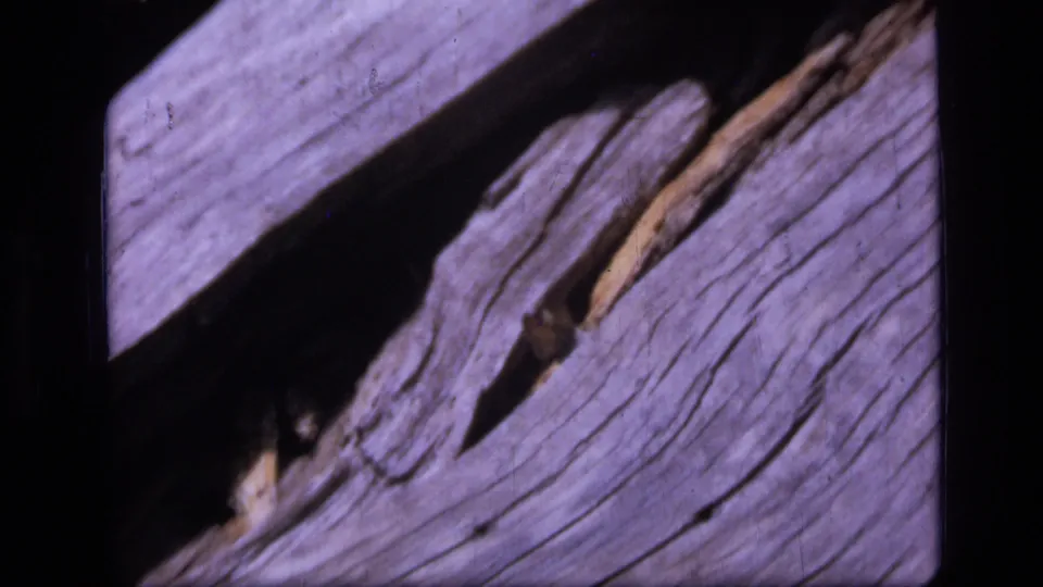 8mm frame from Scapegoat Wilderness showing a sunlit weathered log, strong shadow, and a small butterfly near a lengthwise crack.