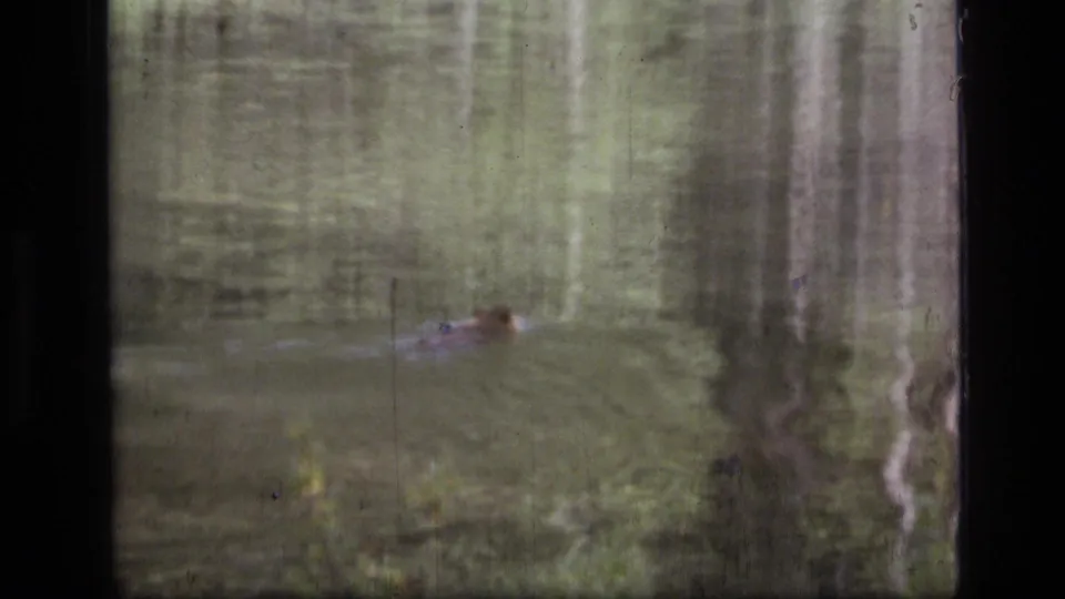 1973 8mm frame from Scapegoat Wilderness showing a small animal moving through calm water beneath reflected trees.