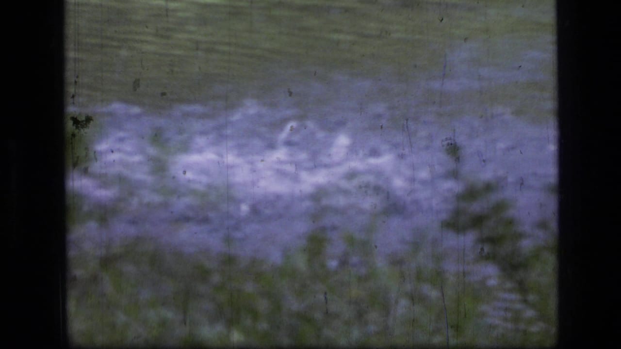 Soft, blurred close view of water or brush with visible film scratches and dark frame edges.