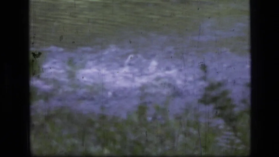 Soft 8mm frame from the Montana wilderness clip, showing a blurred patch of water or vegetation with heavy film wear and dark gate edges.