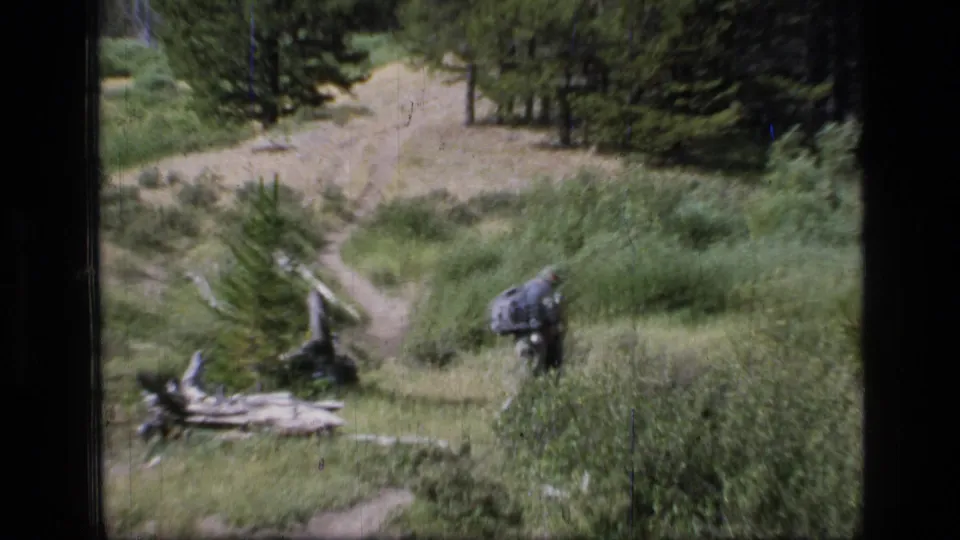 1973 Scapegoat Wilderness frame with a narrow trail through meadow brush, pines, fallen wood, and a partially visible hiker at the right edge.