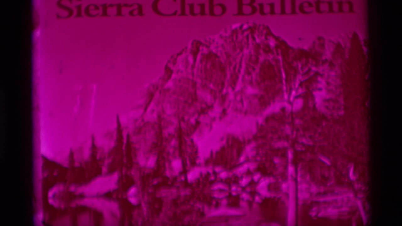 Magenta-tinted Sierra Club Bulletin cover with mountain landscape and trees.