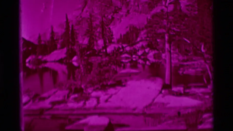 1975 8mm view of Minaret Wilderness showing a magenta-tinted forested lake edge with rocks and still water reflections.