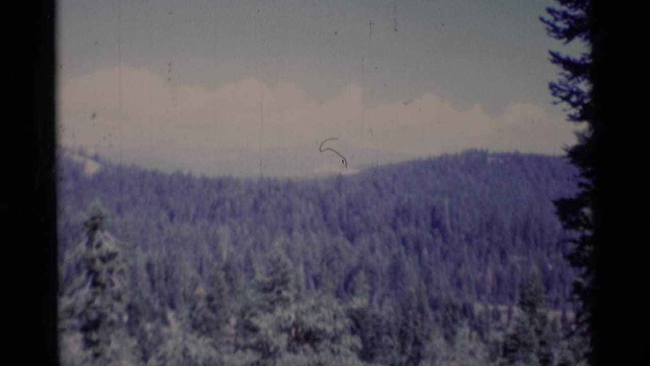 1975 8mm view of forested ridges in Minaret Wilderness, California, framed by dark tree silhouettes and a pale cloudy sky.