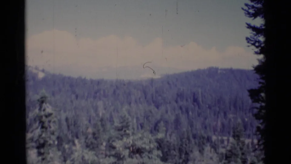 1975 8mm view of forested ridges in Minaret Wilderness, California, framed by dark tree silhouettes and a pale cloudy sky.
