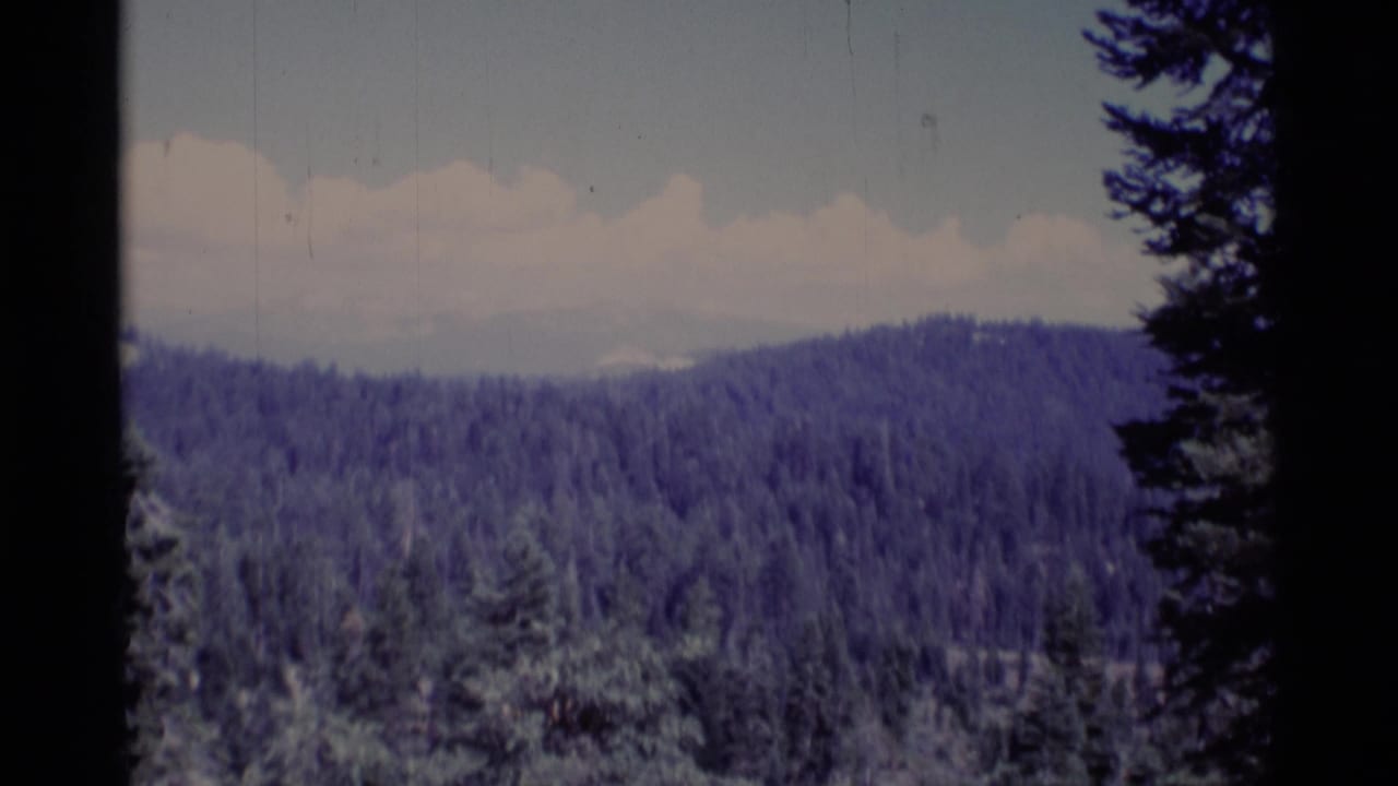 Forested California wilderness ridges appear beneath a pale sky, with dark evergreen silhouettes along the 8mm frame edges.