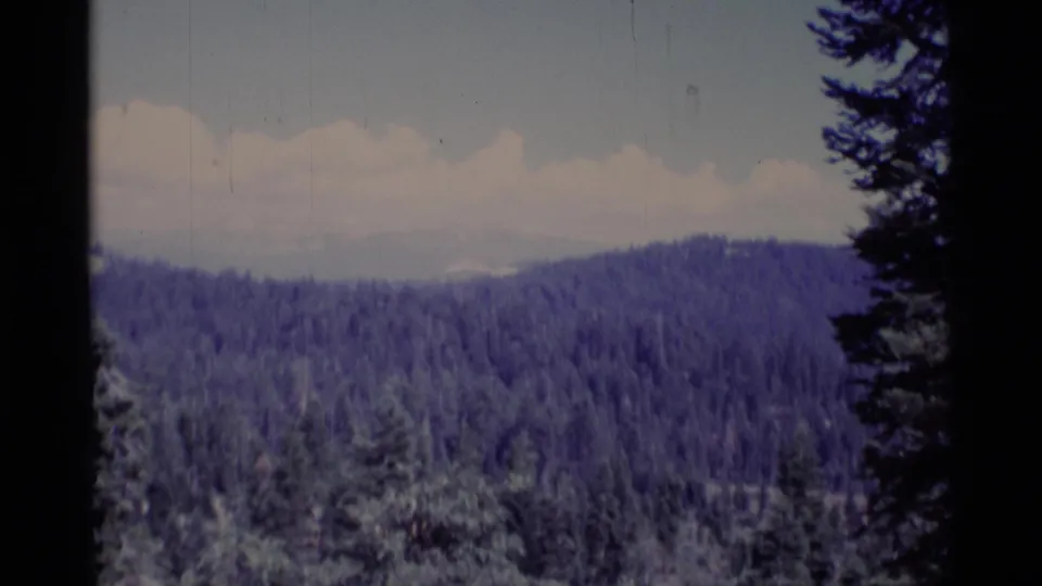 Forested California wilderness ridges appear beneath a pale sky, with dark evergreen silhouettes along the 8mm frame edges.