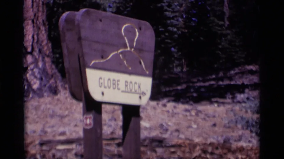 Close 8mm view of the Globe Rock sign and arrow, with pine trunks, shaded forest, and rough ground behind it.
