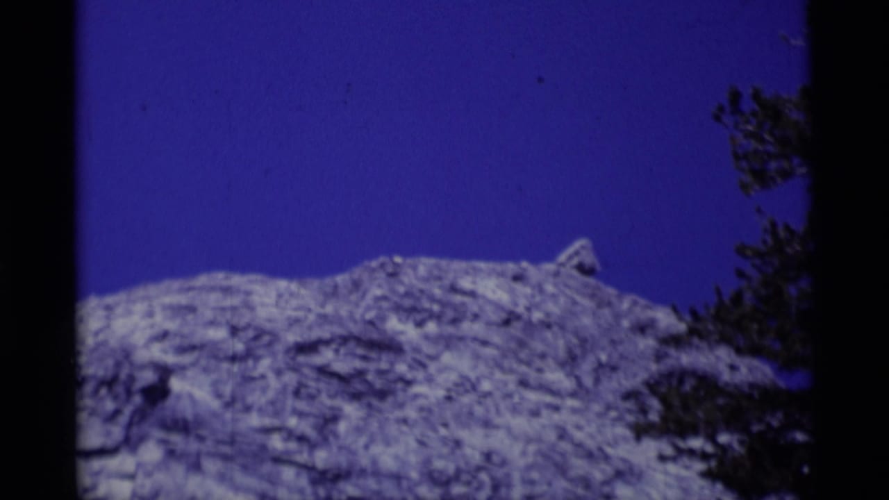 Snow-dusted rocky ridge beneath a deep blue sky with pine branches at the right edge.