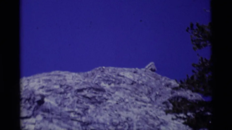 1975 8mm Minaret Wilderness view of a pale rocky ridge under saturated blue sky, partly framed by dark pine branches.