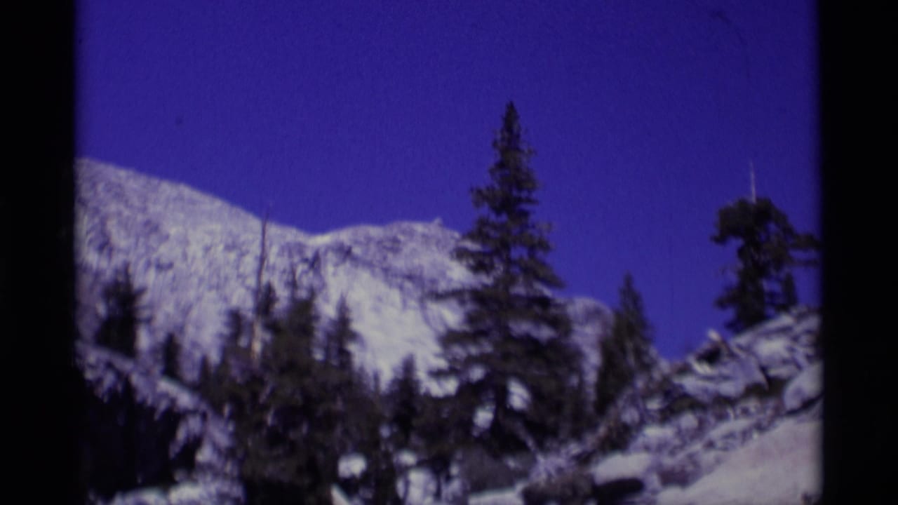 Snow-covered mountain slope behind evergreen trees under a deep blue sky.