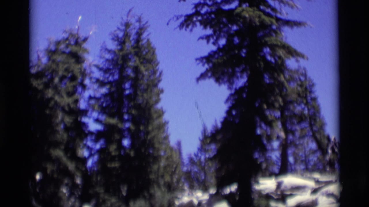 1975 Minaret Wilderness forest view with conifers, patches of snow, and saturated blue 8mm color.
