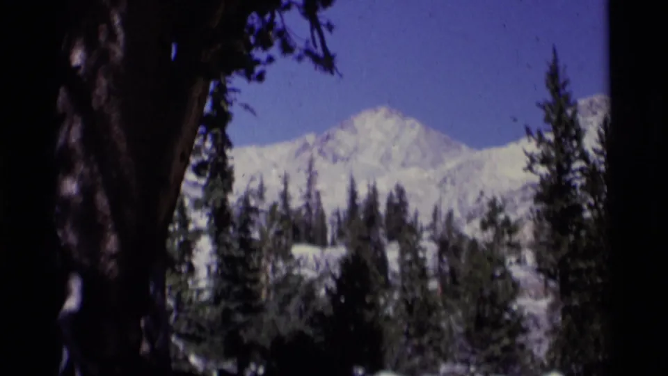 1975 8mm Minaret Wilderness view of a snow-covered mountain beyond conifer forest and a foreground tree trunk.