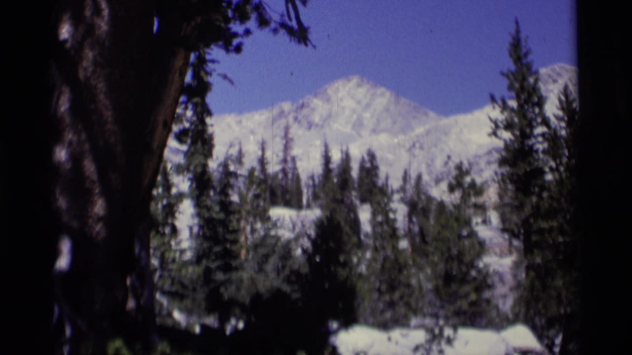 Snowy mountain and evergreen forest framed by dark tree trunks.