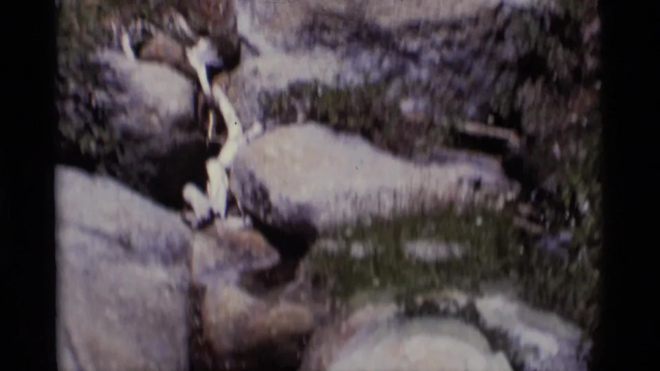 Close 8mm view of a rocky Minaret Wilderness stream area with water, boulders, brush, and a pale weathered branch.