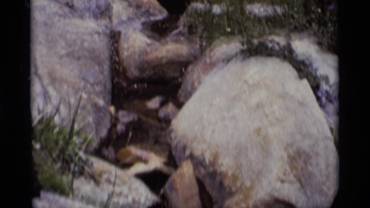 Small stream and rocks with grasses at the edge of the frame.