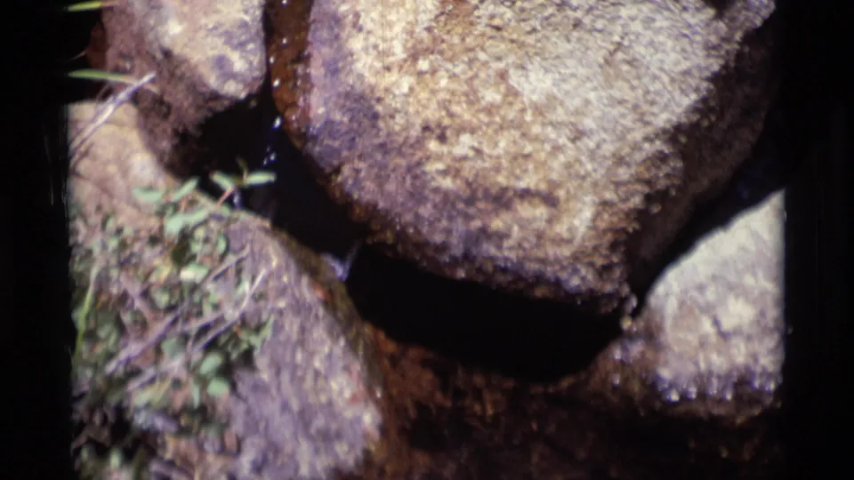 1975 home-movie close-up of water below a large rounded rock with small plants along the stream edge.