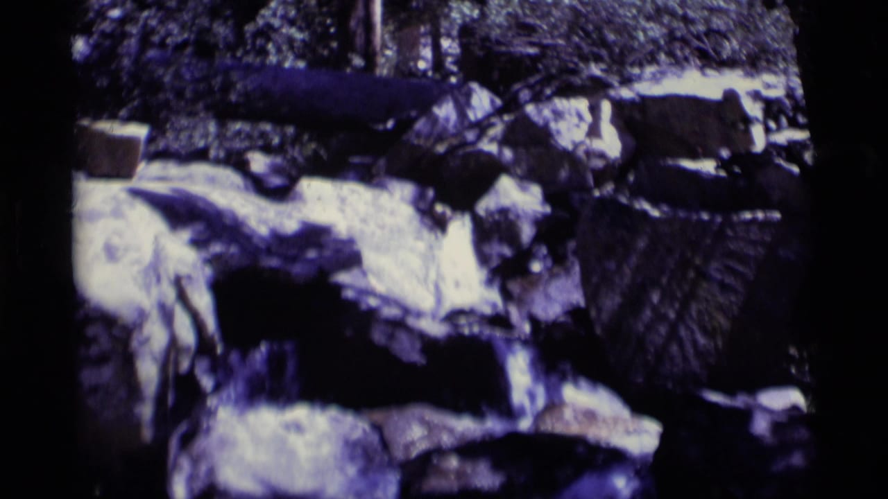 Rocky creek water cascading through shaded boulders and forest growth.