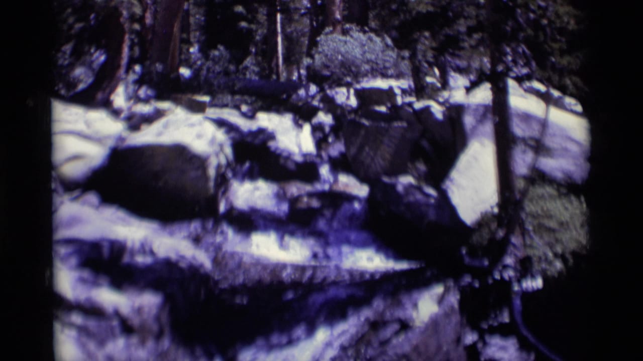 Rocky forest stream with white water flowing over dark boulders.