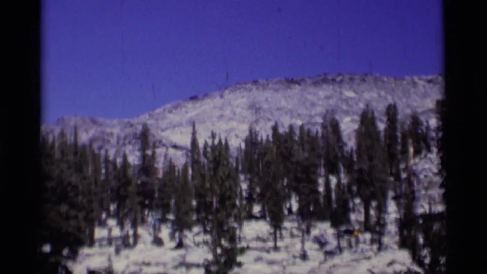 Grainy 8mm frame of evergreen trees in front of a snow-covered mountain slope, identified as Minaret Wilderness by metadata.