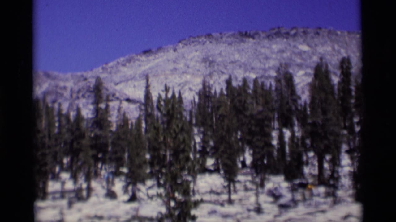 Snowy pine forest below a rocky mountain slope under a deep blue sky.
