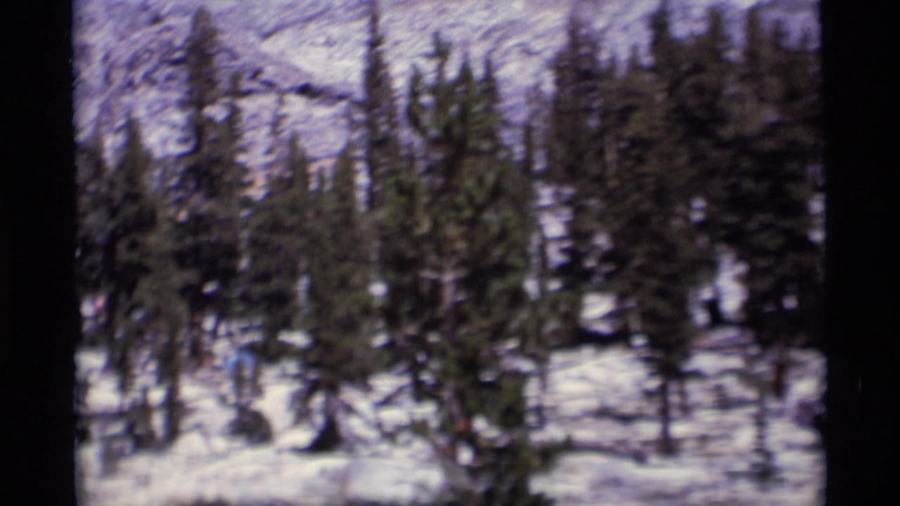 Closer 8mm frame of snowy Minaret Wilderness conifers and scattered boulders, with the mountain slope filling the background.