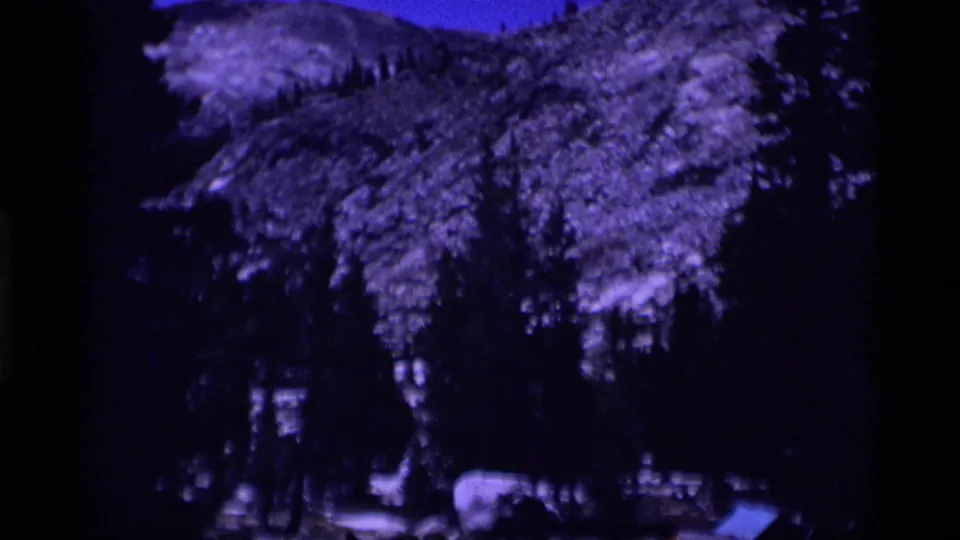 Minaret Wilderness mountain forest with snow patches, pines, and strong blue-purple 8mm color shift in a 1975 home-movie frame.