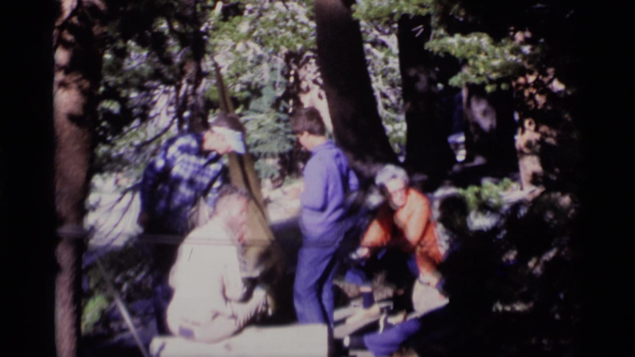 A small group of adults sits and stands near tree trunks in a forest clearing.