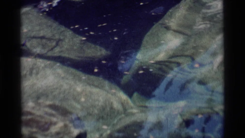 1975 8mm Minaret Wilderness frame showing a close underwater view of rocks, ripples, and reflected light.