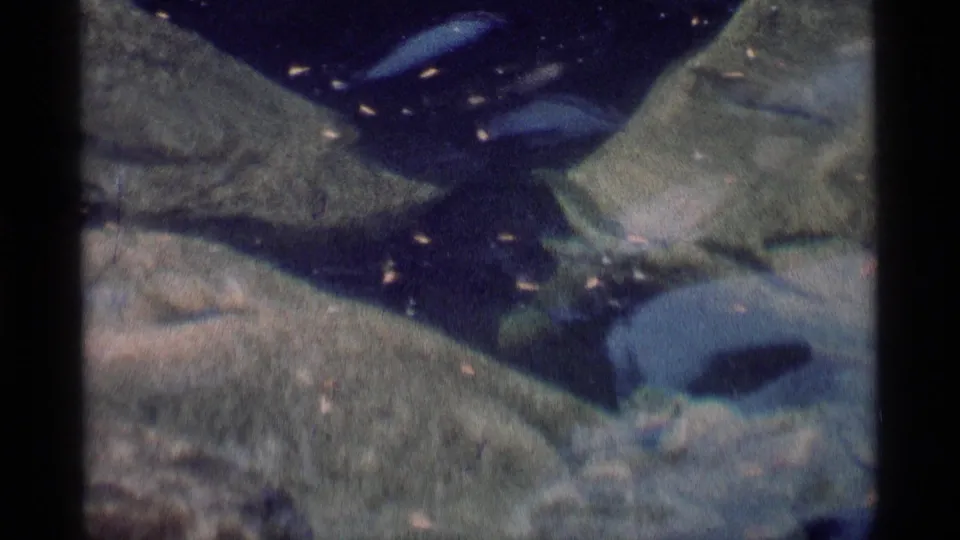 A 1975 8mm frame from Minaret Wilderness showing rounded submerged rocks under dark blue-green rippling water.