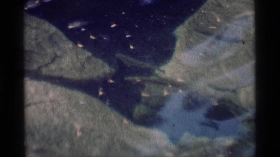 1975 8mm Minaret Wilderness close-up of stream water flowing across mossy rock surfaces with faint iridescent highlights.
