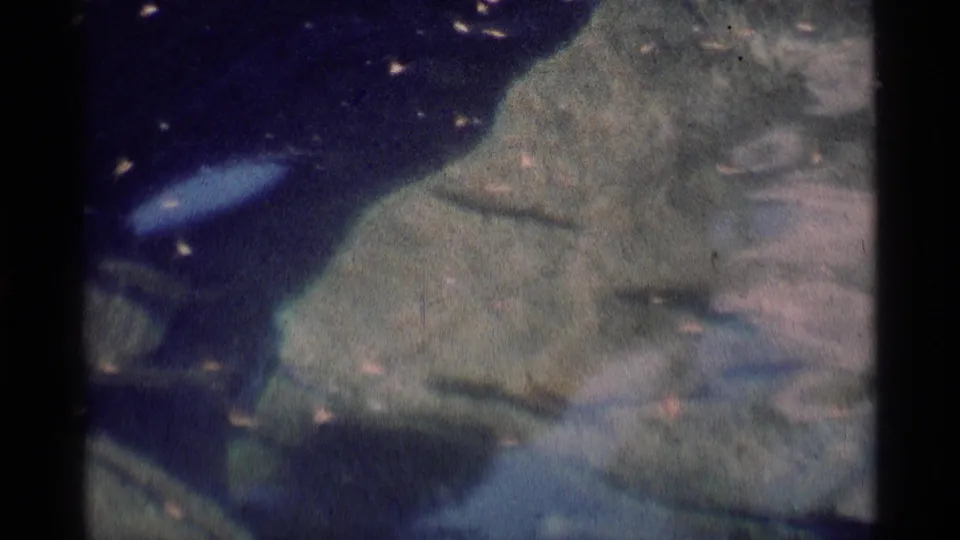 1975 8mm Minaret Wilderness stream detail with dark water, smooth mossy rocks, and reflective particles drifting through the current.