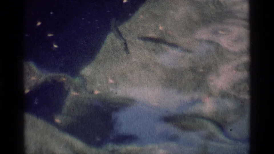 1975 8mm Minaret Wilderness stream close-up with water running between mossy rocks, floating specks, and muted blue-green reflections.