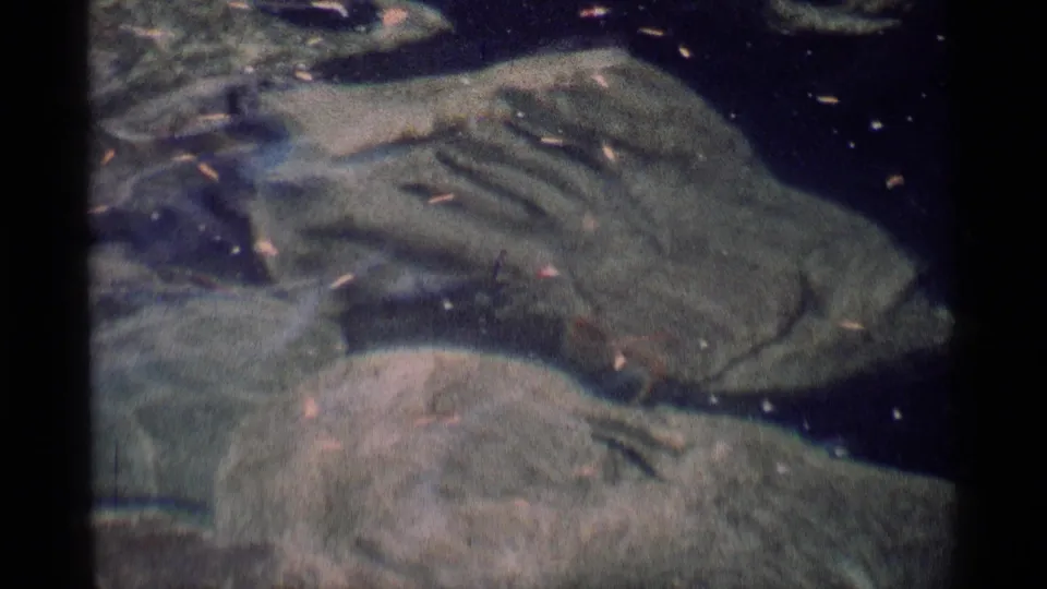 Minaret Wilderness 8mm frame with rounded underwater rocks, drifting leaf fragments, and blue-green film color shifts.