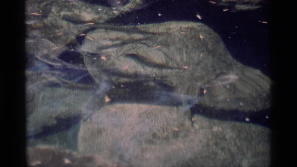 8mm Minaret Wilderness frame showing a large submerged rock, dark water, and small leaves moving on the surface.