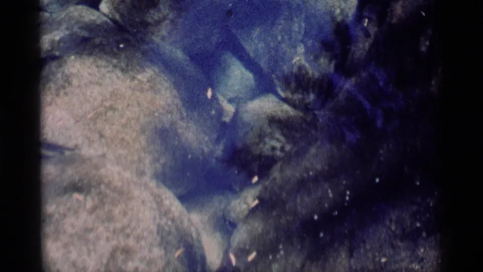 A dark fish form moves along the right side of shallow blue water over pale rounded rocks in this 1975 wilderness home-movie frame.
