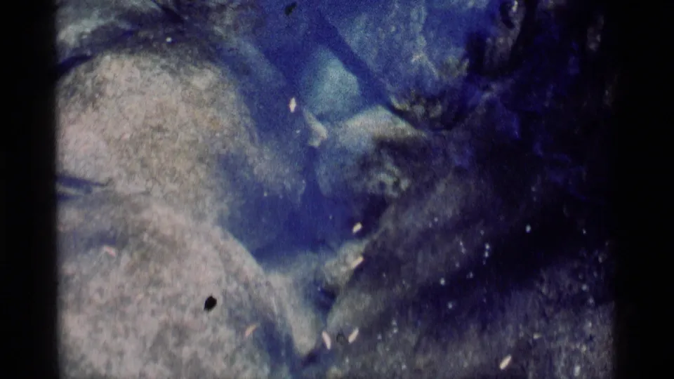 The final frame shows a small fish shape near rounded stones, with ripples, particles, and visible 8mm scan texture.