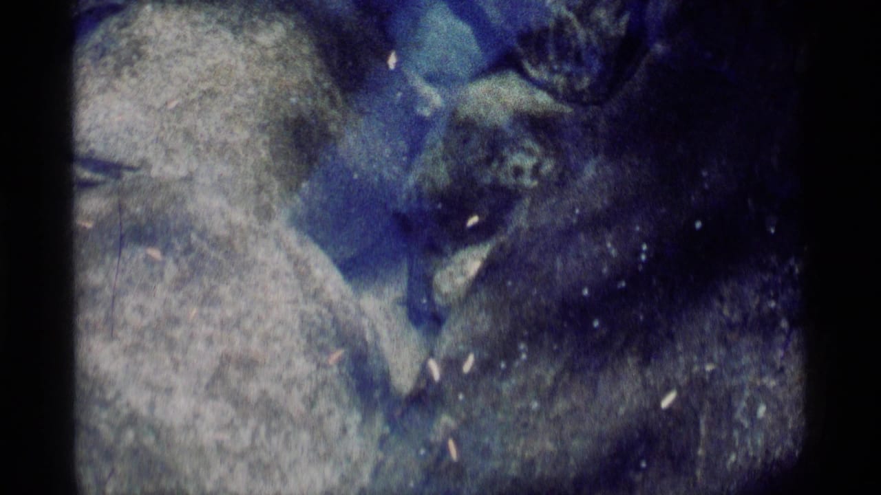 1975 Minaret Wilderness 8mm frame showing a small dark creature beside rounded stones in murky blue underwater light.