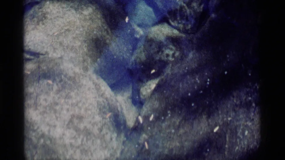 1975 Minaret Wilderness 8mm frame showing a small dark creature beside rounded stones in murky blue underwater light.